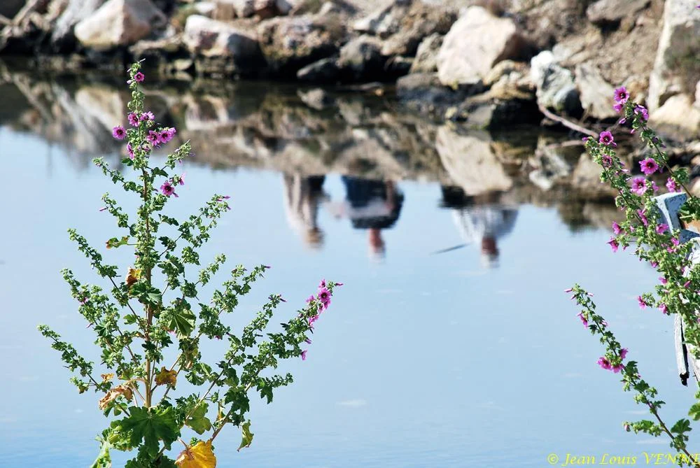 Promenade au parc de la Tour Royale