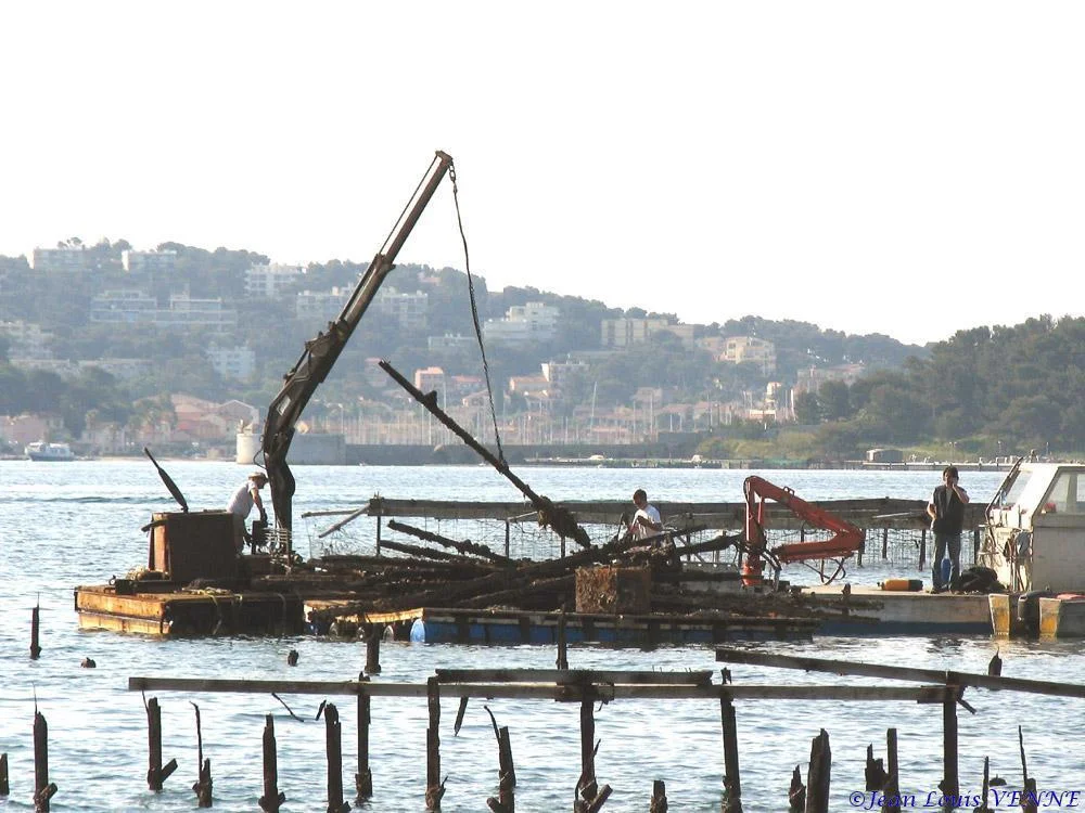 Extraction des pieux dans l’anse du Balaguier