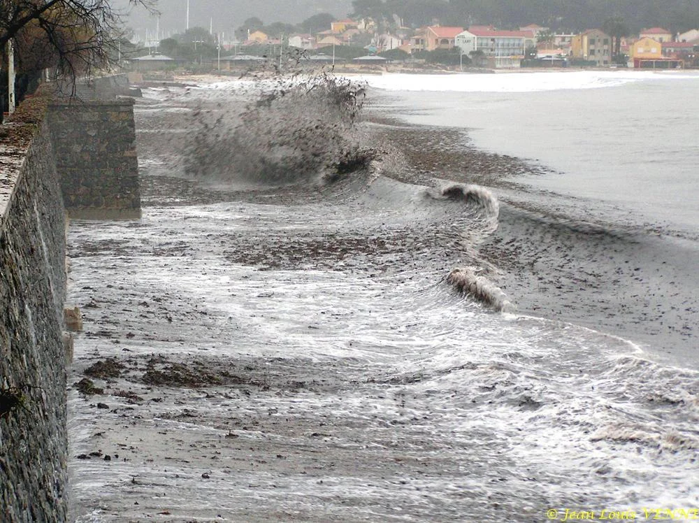 Des posidonies mortes envahissent la Seyne-sur-Mer