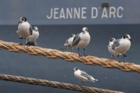 La Jeanne d'Arc à Callao