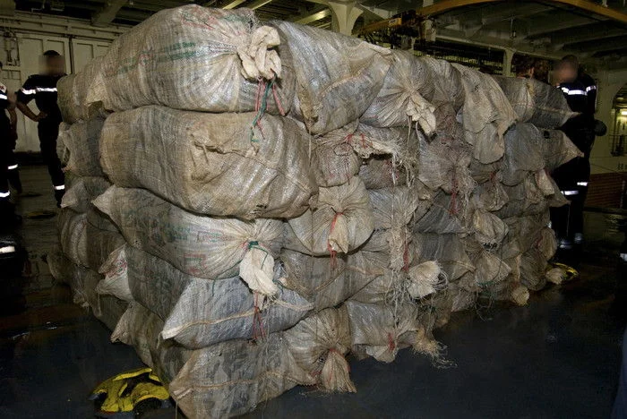 Vue d'ensemble de la drogue saisie