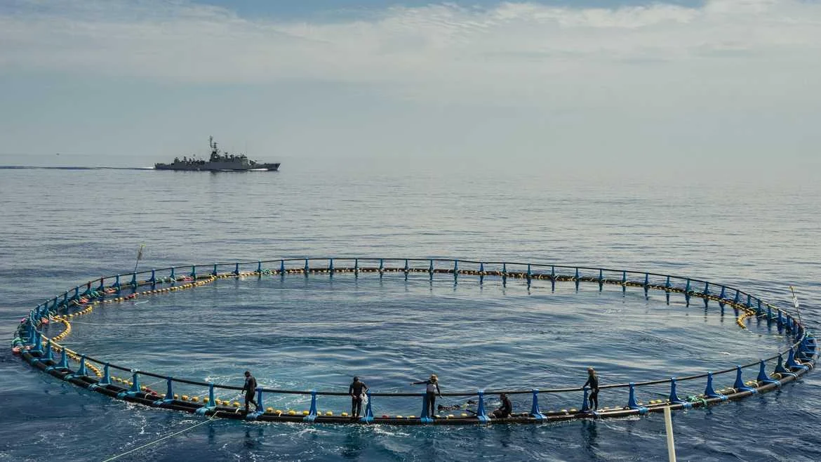 L’aviso Cdt Ducuing en mission en mission Thon Rouge