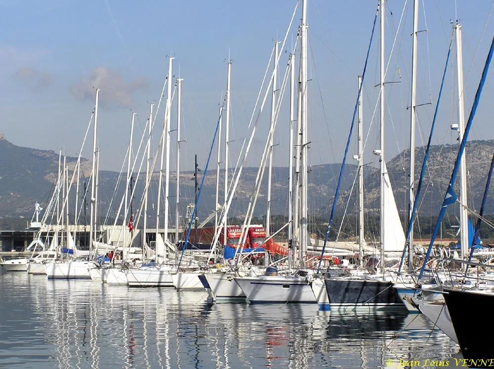 Coupe des Lyons 2008