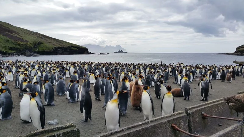 La frégate Floréal au large de l'île Crozet