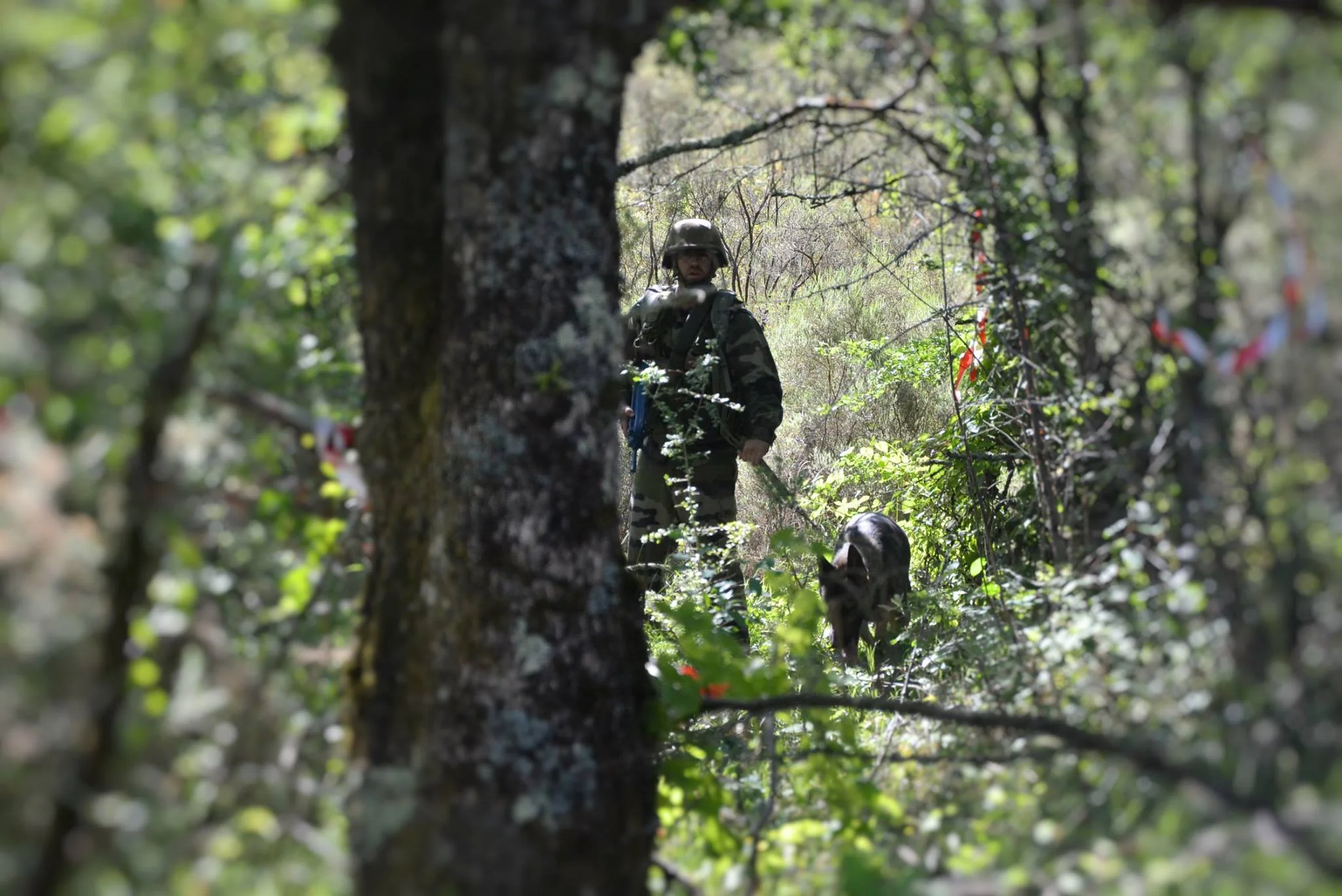 3e édition du challenge inter-unités de fusiliers marins