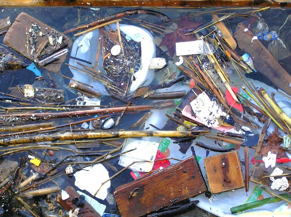 Détritus flottants dans la rade de Toulon