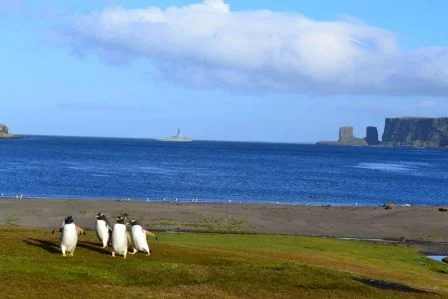 Le patrouilleur austral Albatros aux Kerguelen