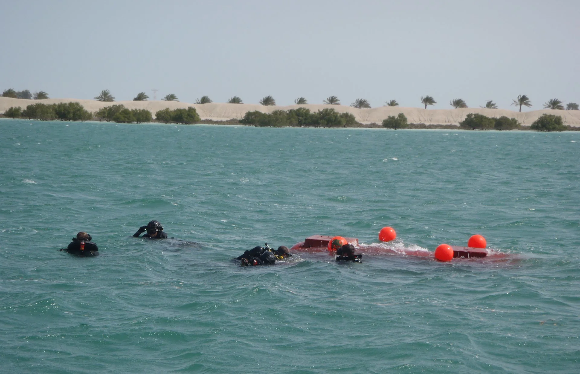 Des plongeurs-démineurs s'entraînent dans le golfe Arabo-persique