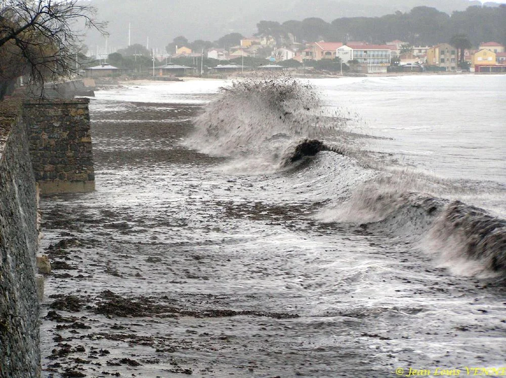 Des posidonies mortes envahissent la Seyne-sur-Mer