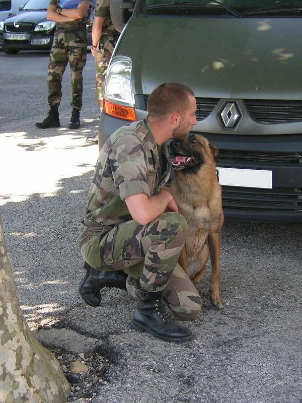 Un binôme indissociable, le maître et son chien