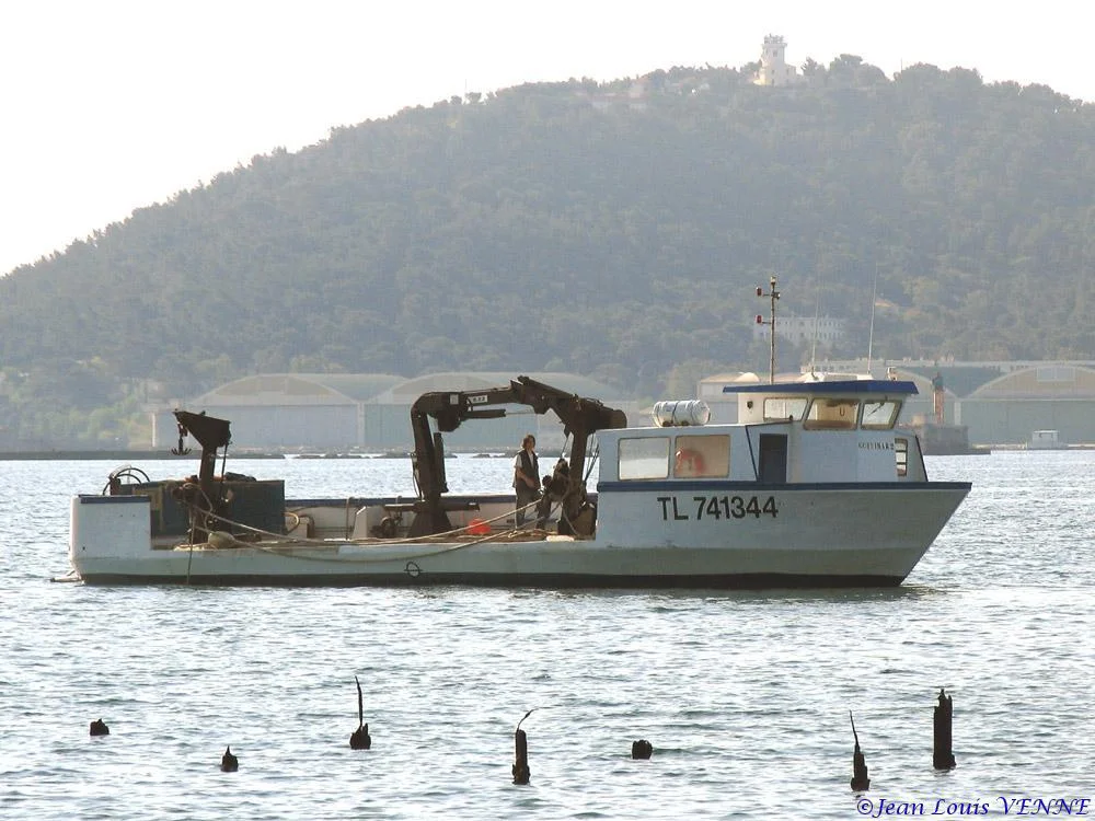 Extraction des pieux dans l’anse du Balaguier